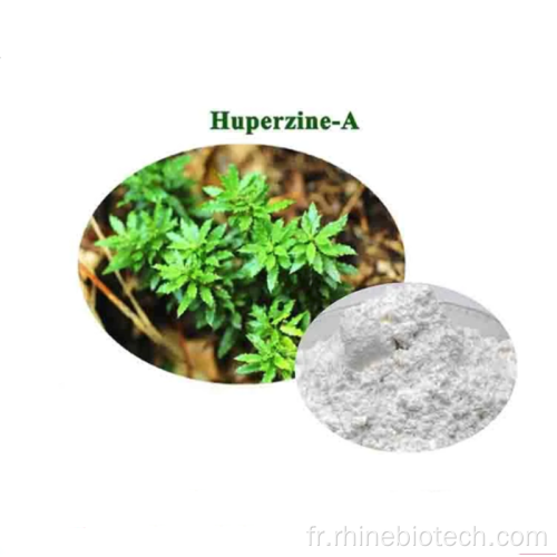 HUPERZINE-A CAS102518-79-6 Ingrédient Intermédiaire